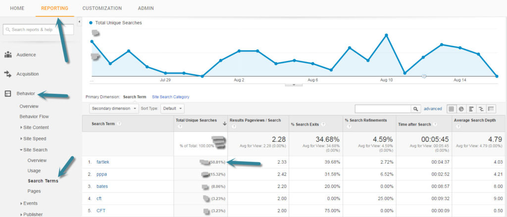 Search Terms from Google Analytics tracking the On-Site Search